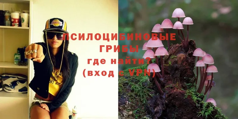 Псилоцибиновые грибы MAGIC MUSHROOMS  закладка  Ахтубинск 